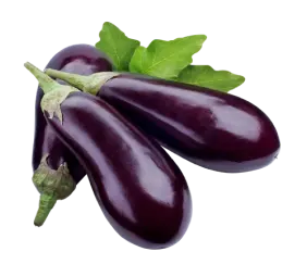 eggplant