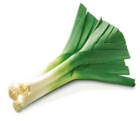 leek