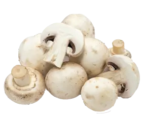 mushrooms