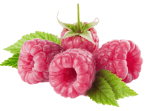 four raspberries